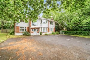 Photo 13- click for photo gallery